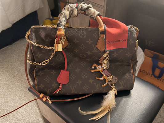 Louis Vuitton Speedy 30 Vintage